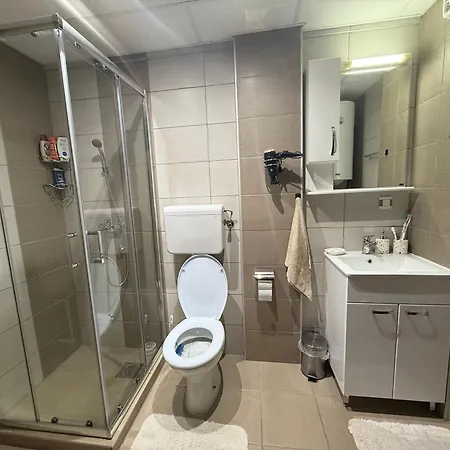 Apartament Delux Sokobanja